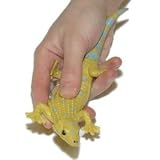 Fun and Function's Squeeze Gecko
