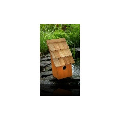 Fruit Coops Bird House Color: Pumpkin