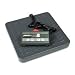 Pelouze 4060 Heavy-Duty Electronic Utility Scale with PC Interface, 400-lb. Capacity
