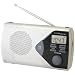Lloytron N2401SV Romeo AM/FM Portable Radio