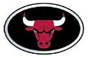 Chicago Bulls Color Auto Emblem