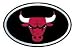 Chicago Bulls Color Auto Emblem