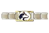 Bracelet Washington Huskies
