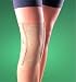 Oppo X-Back Knee Stabilizer
