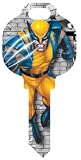 Wolverine Schlage SC1 House Key