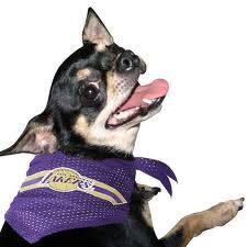 Los Angeles Lakers 22