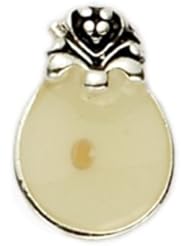 Silver Plated Round Pin with Mustard Seed Womens Religious Jewelry Mustard Seed Jewelry Gift Boxed