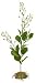 Tetra Silk Water Wonders Water Rose Medium 9 inch