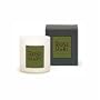 Archipelago Botanicals Home Collection Candle - Rosemary