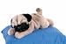Plush Lying Pug Dog 12