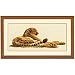 Leopard In Repose