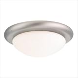 31mPvlgElVL. SL160  Ceiling Fan Light Kit in Antique Brushed Nickel