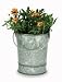 Outdoor Living : Achla VWP-01 Flower Pail - Galvanized TIn
