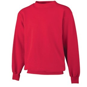 Youth Crewneck Sweatshirt