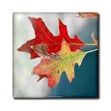 Autumn Leaves Transition Red Gold - 12 Inch Ceramic Tile