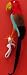Polly the Parrot Prop for Halloween Costume