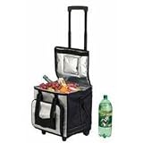12V Thermoelectric Cooler Travel Bag (Black/Silver) (14