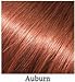 Hair Building Fibers Auburn Hair Loss Concealer Fiber 28 Gram .99oz Refillable Bottle by Finally Hair (Auburn)