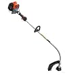 Tanaka TCG22EABSLP 21.1cc 2-Stroke Gas Powered Curved Shaft Grass Trimmer (CARB Compliant)