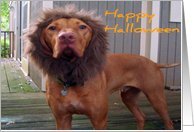 Halloween - Vizsla Lion Costume Card