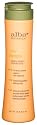 Alba Botanica Daily Shampoo, 8.5-Ounce Bottle (Pack of 2)