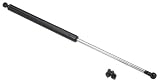 OES Genuine Hood Strut