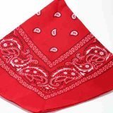 Red Paisley Bandana (Centre Patterned)