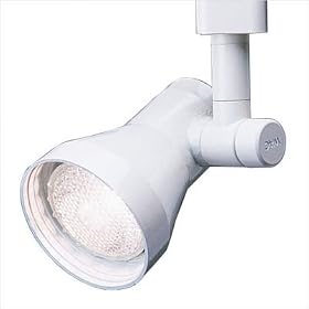 Track Head with Swivel Luminaire Line Voltage Track Head Track Type: Lightolier Series,... by WAC Lighting