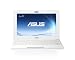 ASUS 1025C-MU17-WT 10.1-Inch Netbook (White)