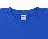 製品染めアンビル半袖TシャツロイヤルブルーXL