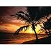 Electronics : Fellowes Natural Collection Mouse Mat Pad Palm Moods Ref 58750
