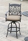 Summerset ARBS 01 CB Ariana Outdoor Bar Stool Reviews 31mTuC6B1HL. SL160 Summerset ARBS 01 CB Ariana Outdoor Bar Stool Reviews