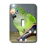 Birds - Skateboard Conure - Light Switch Covers - single toggle switch