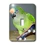 Birds - Skateboard Conure - Light Switch Covers - single toggle switch