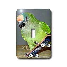 Birds - Skateboard Conure - Light Switch Covers - single toggle switch