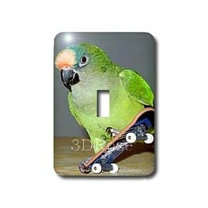 Birds - Skateboard Conure - Light Switch Covers - single toggle switch by 