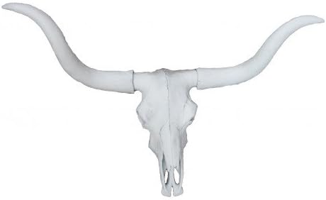 Faux Taxidermy Studio White Long Horn Skull with Horn | Faux Taxidermy | Resin White Long Horn Skull Mount (White)
