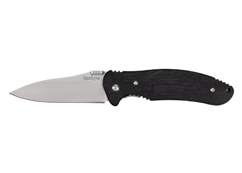 Kershaw Taschenmesser Nerve, schwarz, 163211 Preisvergleich