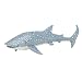 Monterey Bay Collection- Whale Shark Adult