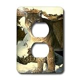 Wild animals - Cougar - Light Switch Covers - 2 plug outlet cover