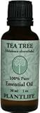 Tea Tree 100% Pure Essential Oil - 30 ml
