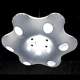 ���[ �t�H�[ ���C�g �z���C�g �idesigned by �j�b�N �N���X�r�[�j