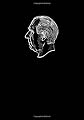 The Political Arena (1934-1961), Volume 11 (Niels Bohr - Collected Works)