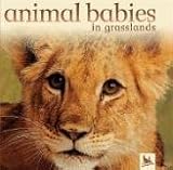 Animal Babies in Grasslands (Animal Babies)