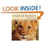 Animal Babies in Grasslands