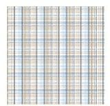 Doodlebug Designs - Teen Boy Collection - 12x12 Accent Paper - Lacrosse