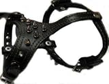 Small Top Dog Spiked Black Leather Dog Harness