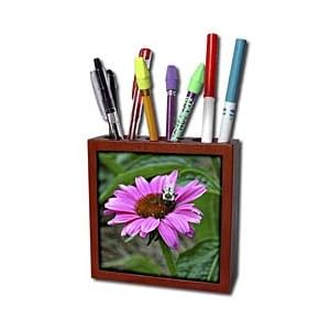 WhiteOak Photography Floral Prints Bee on a purple coneflower Tile Pen Holders-5 inch tile pen holder
