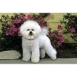 Bichon Frise Floor Mat