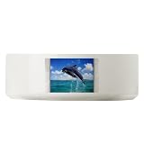 Large Dog Cat Food Water Bowl Dolphins Singing